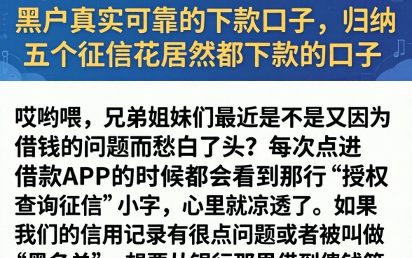 黑户真实可靠的下款口子，归纳五个征信花居然都下款的口子