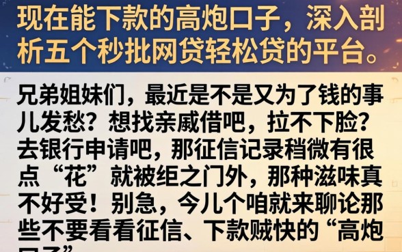 现在能下款的高炮口子，深入剖析五个秒批网贷轻松贷的平台
