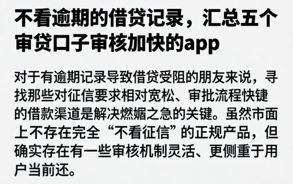 不看逾期的借贷记录，汇总五个审贷口子审核加快的app