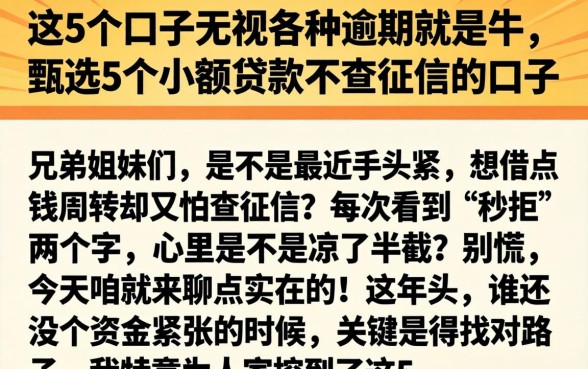 这5个口子无视各种逾期就是牛，甄选5个小额贷款不查征信的口子