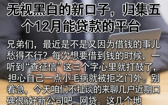 无视黑白的新口子，归集五个12月能贷款的平台