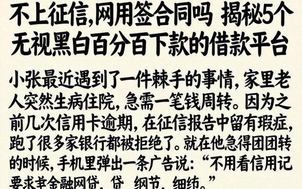 不上征信的网用签合同吗,揭秘5个无视黑白百分百下款的借款平台