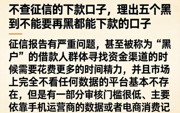 不查征信的下款口子，理出五个黑到不能再黑都能下款的口子