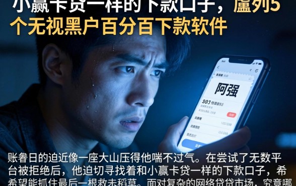 和小赢卡贷一样的下款口子，胪列5个无视黑户百分百下款软件