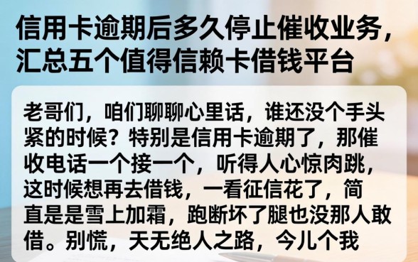 信用卡逾期后多久停止催收业务，汇总五个值得信赖的借钱平台