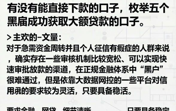 有没有能直接下款的口子，枚举五个黑户成功获取大额贷款的口子