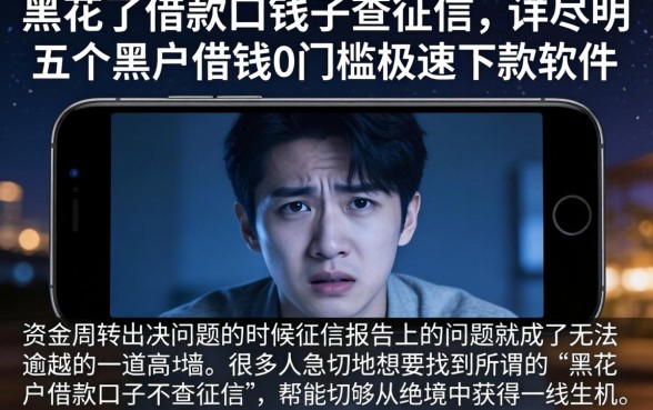 黑花了借款口子不查征信,详尽说明五个黑户借钱0门槛极速下款软件