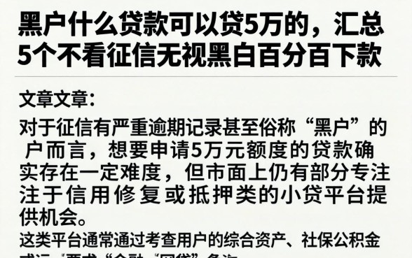 黑户什么贷款可以贷5万的，汇总5个不看征信无视黑白百分百下款