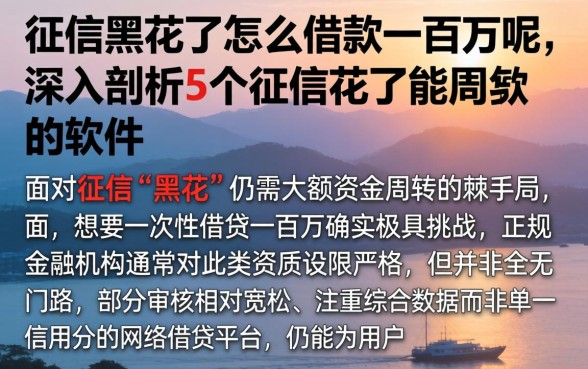 征信黑花了怎么借款一百万呢，深入剖析5个征信花了能网贷的软件