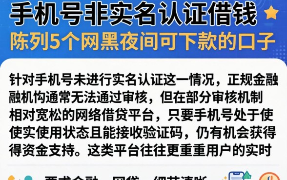 手机号非实名认证借钱，陈列5个网黑夜间可下款的口子