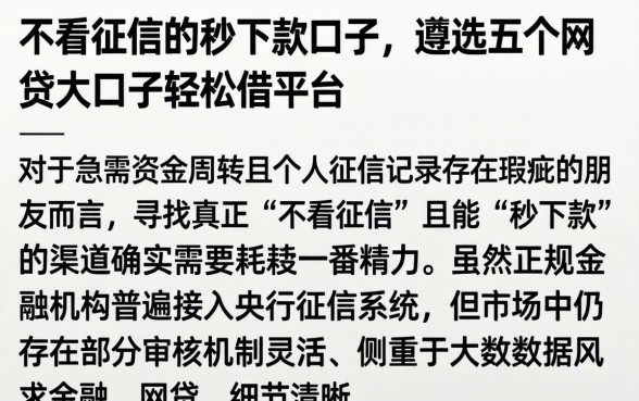 不看征信的秒下款口子，遴选五个网贷大口子轻松借平台