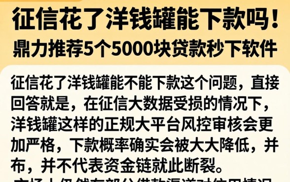 征信花了洋钱罐能下款吗，鼎力推荐5个5000块贷款秒下软件