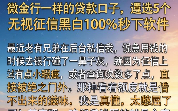 微金行一样的贷款口子，遴选5个无视征信黑白100%秒下软件