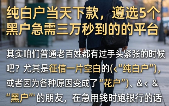 纯白户当天下款，遴选5个黑户急需三万秒到的的平台