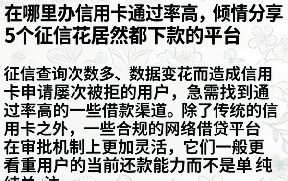 在哪里办信用卡通过率高，倾情分享5个征信花居然都下款的平台
