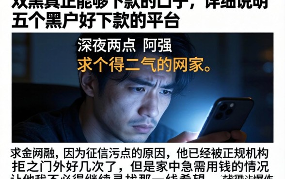 双黑真正能够下款的口子，详尽说明五个黑户好下款的平台