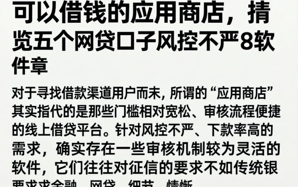 可以借钱的应用商店，概览五个网贷口子风控不严的软件