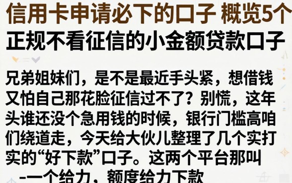 信用卡申请必下的口子，概览5个正规不看征信的小额贷款口子