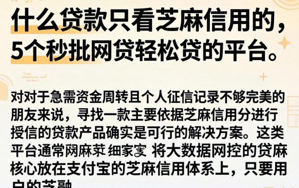 什么贷款只看芝麻信用的，详细阐述5个秒批网贷轻松贷的平台