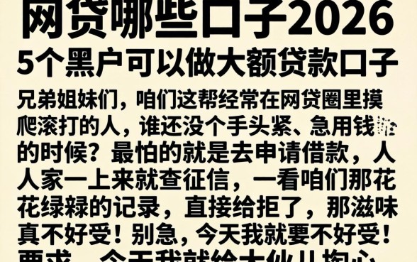 网贷哪些口子2026，详细阐述5个黑户可以做大额贷款口子