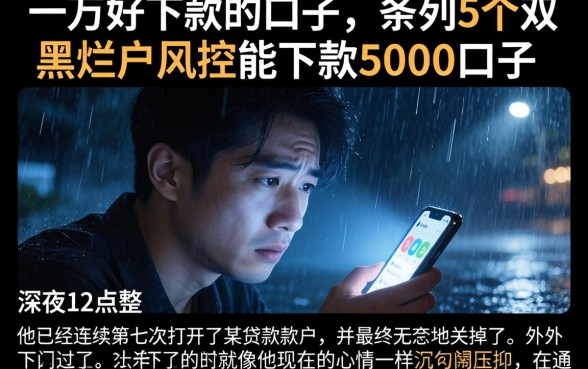 一万好下款的口子，条列5个双黑烂户风控能下款5000口子