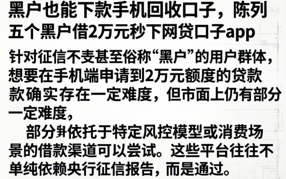 黑户也能下款手机回收的口子，陈列五个黑户借2万元秒下网贷口子app