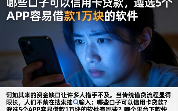 哪些口子可以信用卡贷款，遴选5个APP容易借款1万块的软件