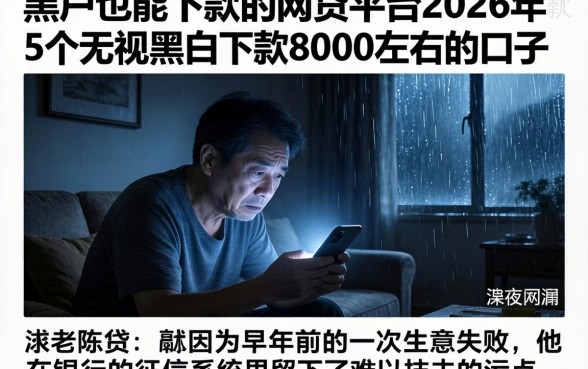 黑户也能下款的网贷平台2026年，详尽说明5个无视黑白下款8000左右的口子