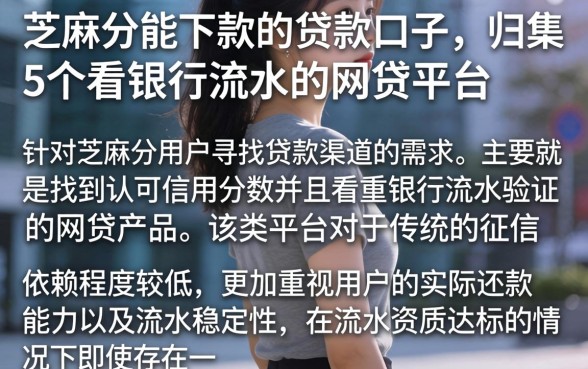 芝麻分能下款的贷款口子，归集5个看银行流水的网贷平台