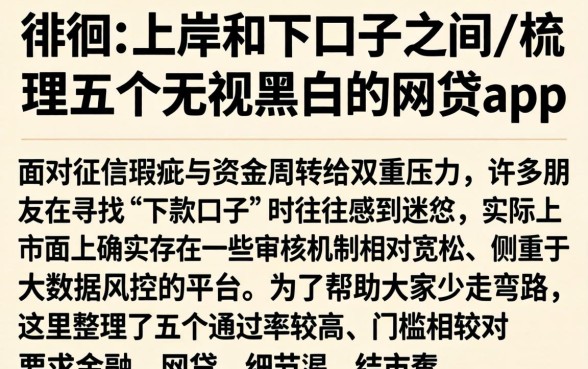 徘徊在上岸和下口子的之间，梳理五个无视黑白的网贷app