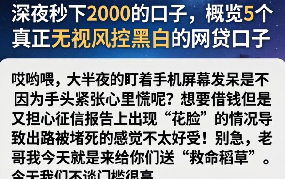 深夜秒下2000的口子，概览5个真正无视风控黑白的网贷口子
