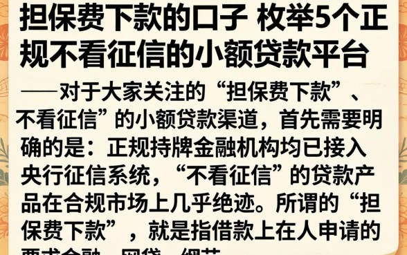 担保费下款的口子，枚举5个正规不看征信的小额贷款平台