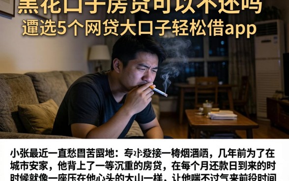 黑花口子房贷可以不还吗，遴选5个网贷大口子轻松借app