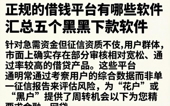 正规的借钱平台有哪些软件，汇总五个黑户下款软件