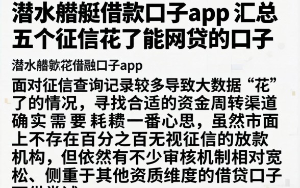 潜水艇借款口子app，汇总五个征信花了能网贷的口子