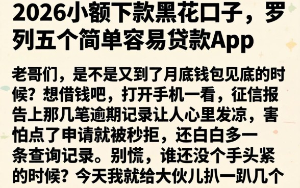 2026小额下款黑花口子，罗列五个简单容易贷款app
