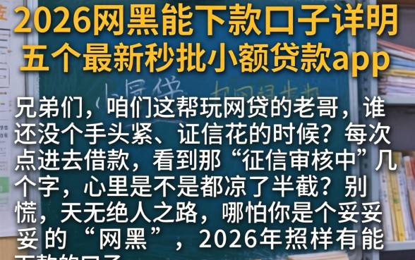 2026网黑能下款的口子，详尽说明五个最新秒批小额贷款app