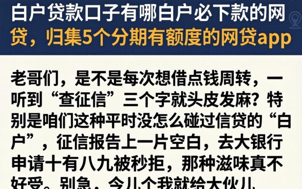 白户贷款口子有哪白户必下款的网贷，归集5个分期有额度的网贷app