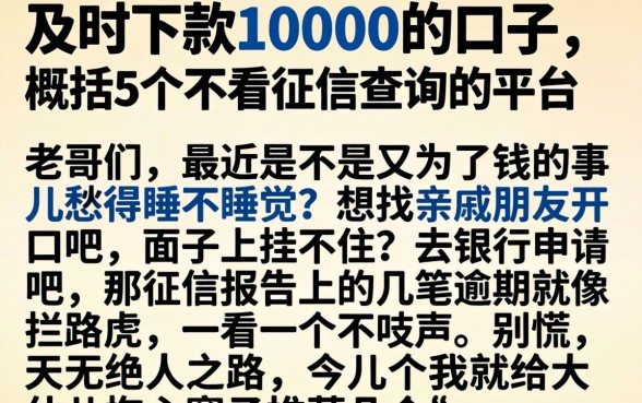 及时下款10000的口子，概括5个不看征信查询的平台