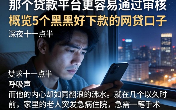 那个贷款平台更容易通过审核，概览5个黑户好下款的网贷口子