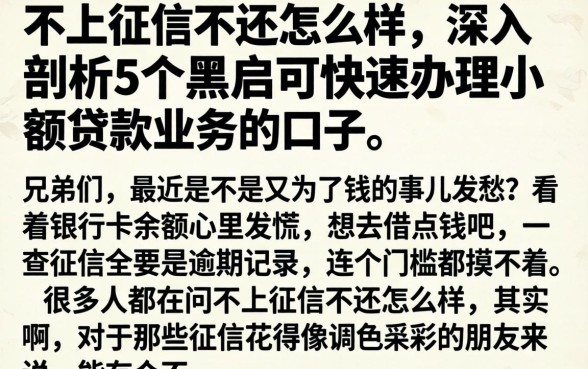 不上征信不还怎么样，深入剖析5个黑户可快速办理小额贷款业务的口子