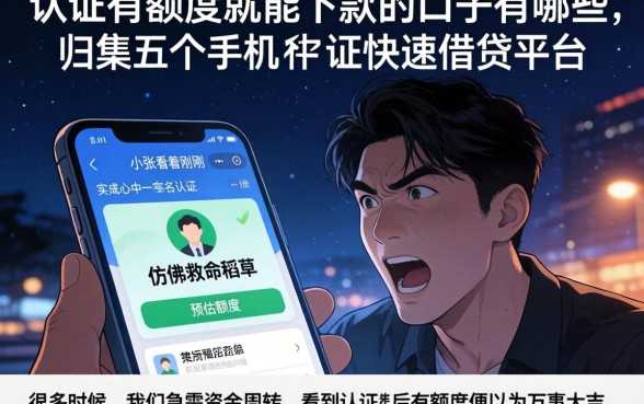 认证有额度就能下款的口子有哪些，归集五个手机和身份证快速借钱平台