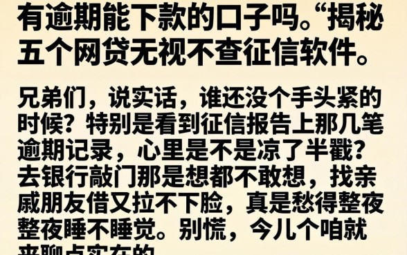 有逾期能下款的口子吗，揭秘五个网贷无视不查征信软件