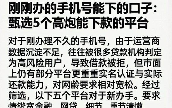 刚刚办的手机号能下的口子，甄选5个高炮能下款的平台