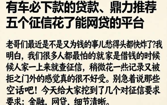 有车必下款的贷款，鼎力推荐五个征信花了能网贷的平台