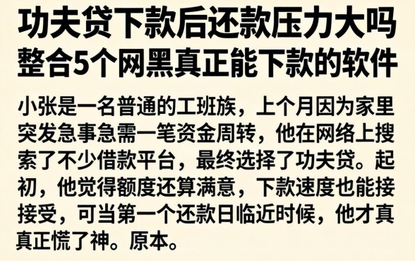 功夫贷下款后还款压力大吗，整合5个网黑真正能下款的软件