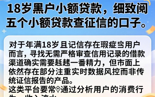 18岁黑户小额贷款，细致阐述五个小额贷款不查征信的口子