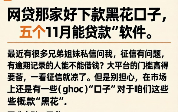 网贷那家好下款黑花口子，概括五个11月能贷款的软件