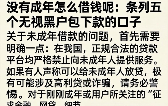 没有成年怎么借钱呢，条列五个无视黑户包下款的口子