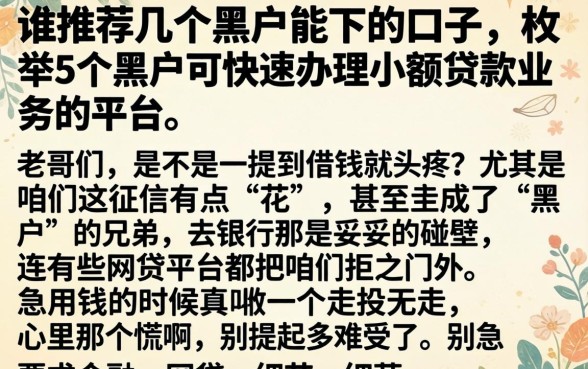 谁推荐几个黑户能下的口子，枚举5个黑户可快速办理小额贷款业务的平台